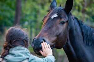メチャカリへの問い合わせ方法はどのようにすれば良いですか？
